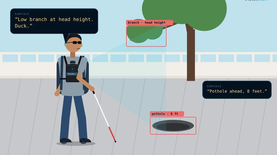 Flat illustration: a low branch tagged head height and a pothole tagged 8 feet on a pavement